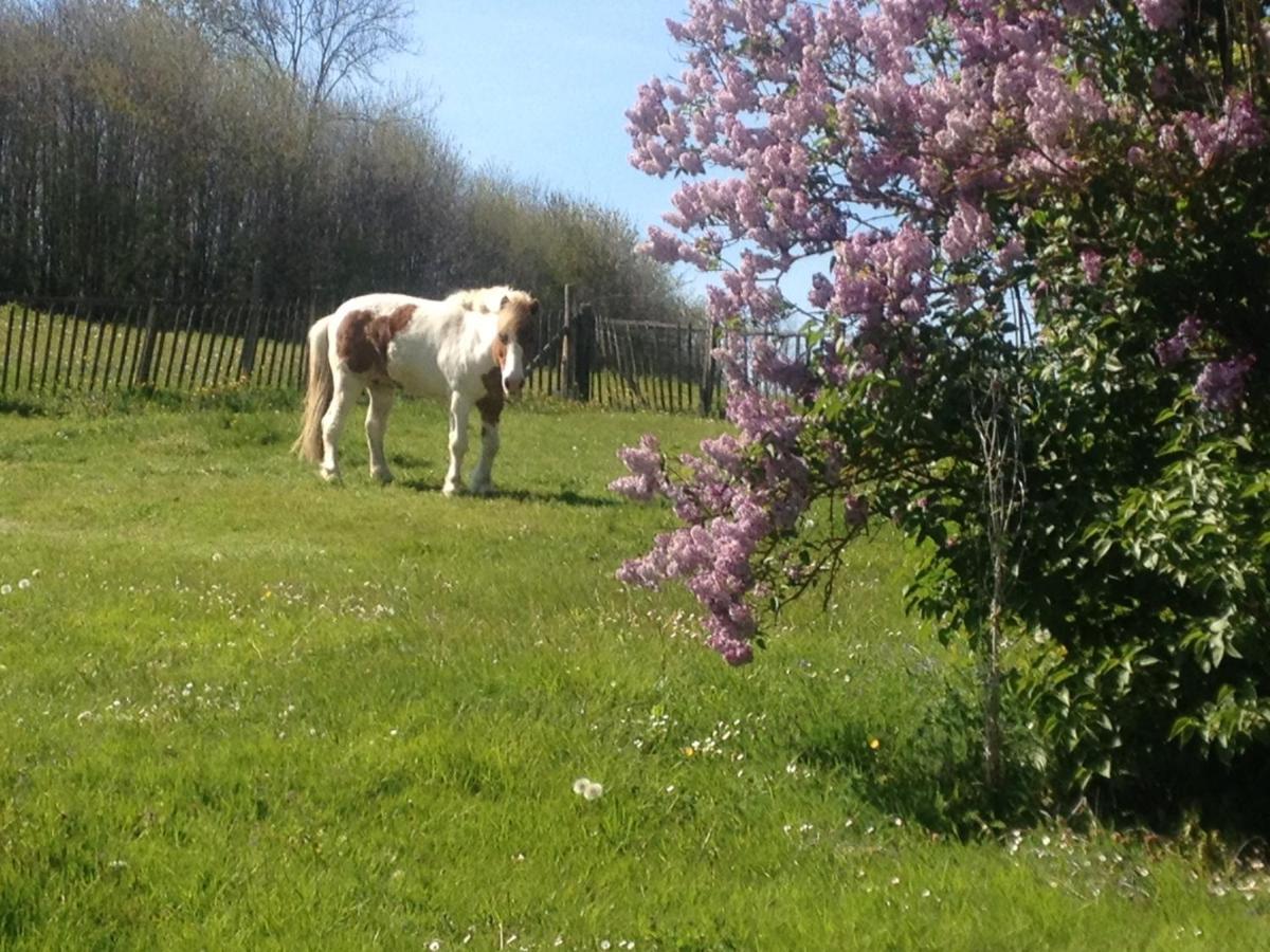 My Little Sweet Home Colombe  Eksteriør billede